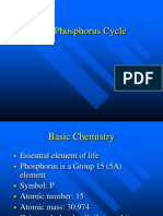 Phosphorus Cycle.ppt