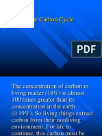 carbon cycle.ppt