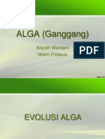 ALGA (Ganggang)