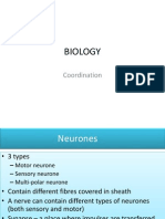 [Biology] Coordination.pptx