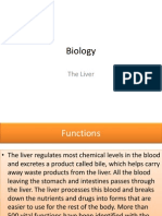 [Biology] the Liver