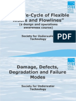 SUT Flexibles - 6 Damage, Defects, Degradation, Failure Modes - Selected Case Studies - March 2011 Update - Compressed PDF