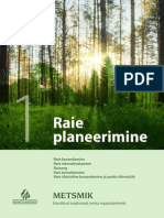 1 Raie Planeerimine PDF