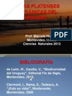 Costas Platenses y oceánicas del Uruguay