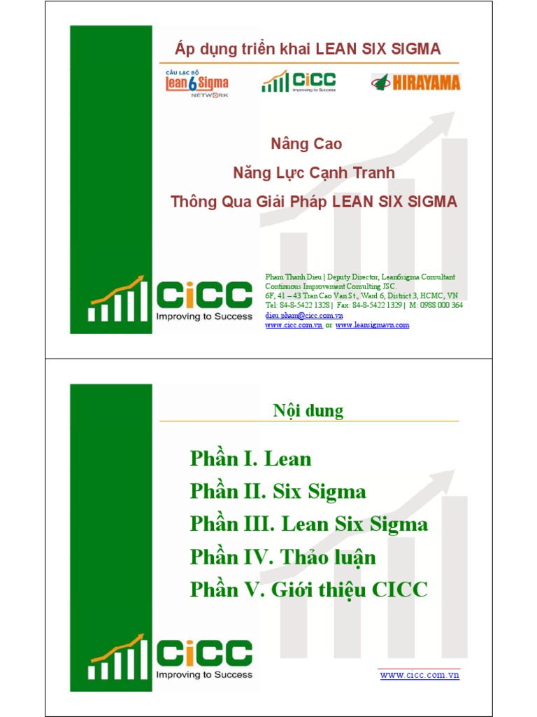 Lean Six Sigma PDF | PDF