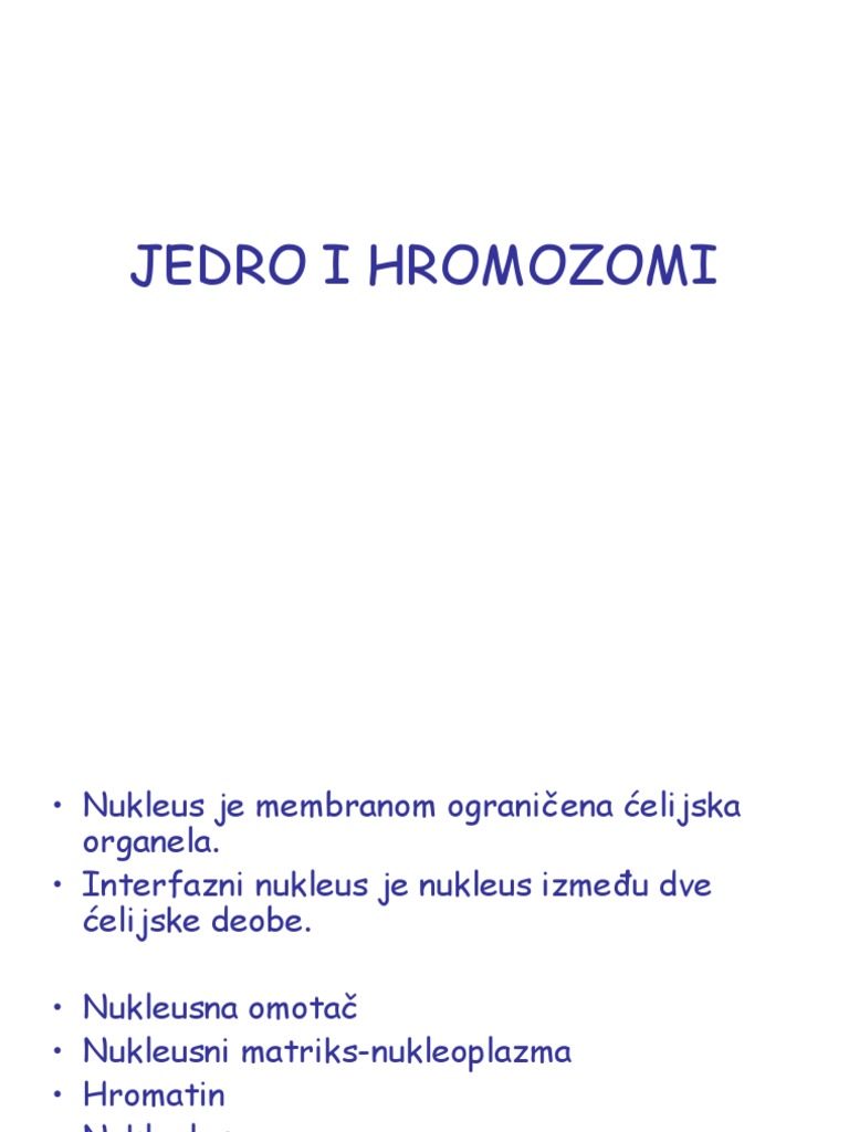 Jedro i Hromozomi