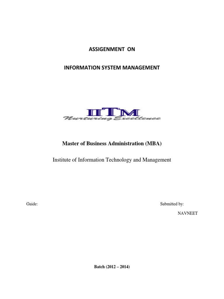 Case Study On MIS | PDF | Management Information System | Information ...