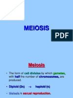 MEIOSIS