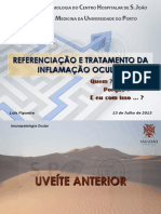 APT - Referenciação e Tratamento Da Inflamação Ocular