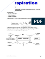 Respiration 2011.doc