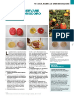 Come conservare i semi di pomodoro.pdf