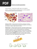 Sistema Cardiorespiratório - sangue