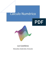 Calculo Numerico