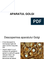 Aparatul Golgi 2