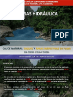DIQUES_Y_AREAS_INEFECTIVAS_DE_FLUJO.pdf