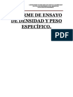 Informe de Ensayo de Densidad y Peso Específico