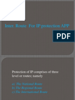 Iter Route For Ipr Protection