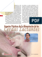 Alimentacion de Cerdas Lactantes