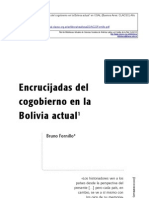 Fornillo Bruno (2008) Bolivia