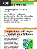 Direito Penal Ambiental Juizado