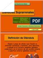 Glándulas Suprarrenales