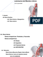 Vascularizacion de Miembros Inferiores