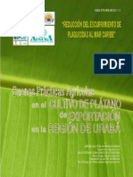 cartilla-platano-definitiva (1)