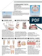 13 Human Anatomy ING