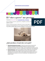 El “olor a perro” me persigue