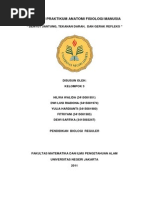 Download Denyut Jantung Tekanan Darah Dan Gerak Refleks by jesica_aprilio SN179457281 doc pdf