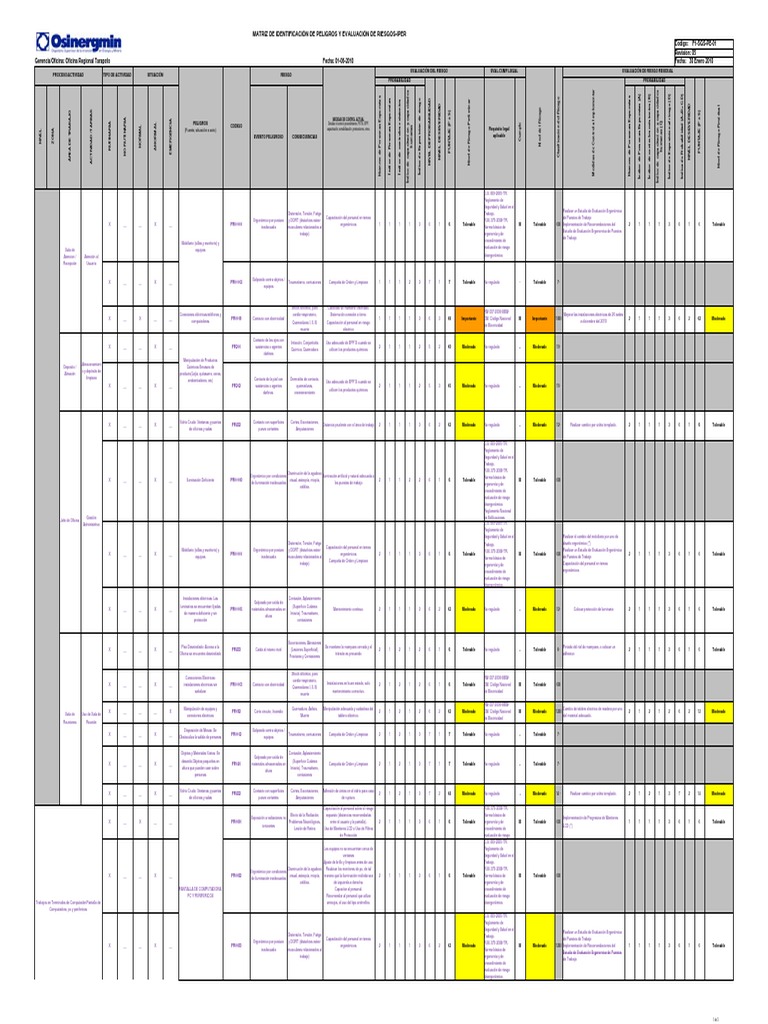 Modelo de IPER PDF | PDF | Factores humanos y ergonomía | Quemar