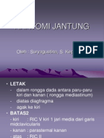 Anatomi Jantung