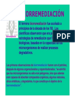 biorremediacion-130629191535-phpapp01