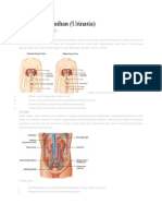 Sistem Perkemihan