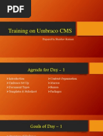 Training On Umbraco - Part I