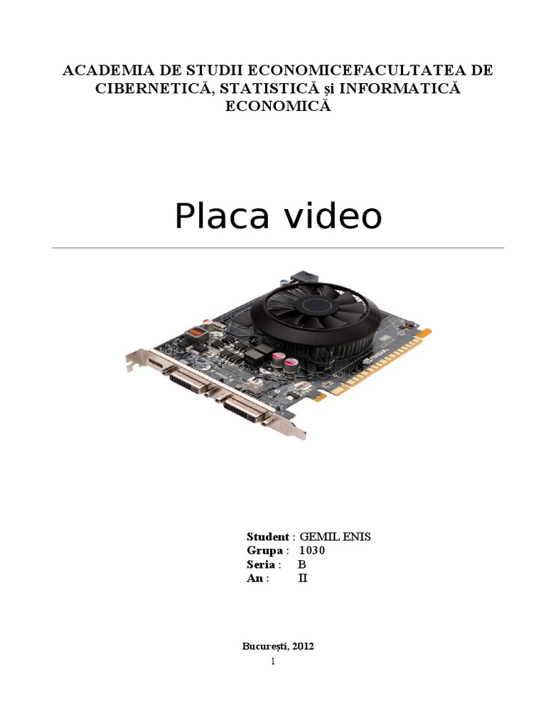 Placa Video - Proiect | PDF