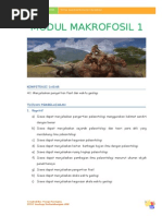 Download Modul I Pengertian Fosil Untuk Siswadoc by Yosep Permana SN179525046 doc pdf