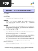 GPRS-UMTS&LTE Troubleshooting using Wireshark TOC_1.0.pdf
