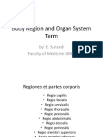 Body Region and Organ System Term