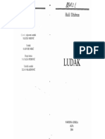 Halil Dzubran - Ludak PDF