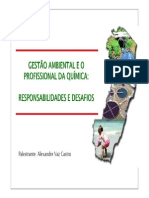 Palestra Gestao Ambiental e Profissional Da Quimica