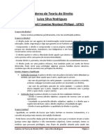 Caderno de Teoria Do Direito UFSC - Luiza Silva Rodrigues