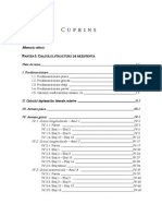 I. Calculul Structurii de Rezistenta PDF