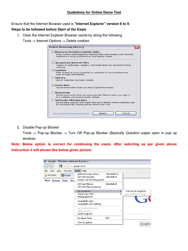 Online Demo Test Setup Guide | PDF