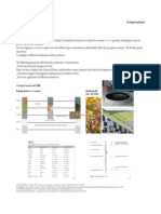 Final Probes (P3)