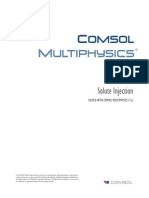 Solute Injection: Solved With Comsol Multiphysics 3.5A