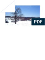 snow.pdf