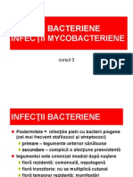 cursul 3 bacterii.ppt