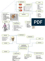 Mapa Conceptual