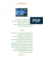 Stillness PDF